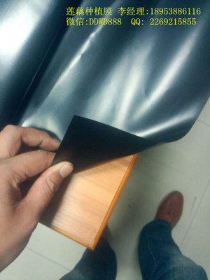 防城港蓮藕地膜_建筑材料欄目