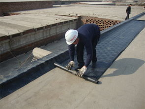 連云港sbs防水卷材供應(yīng),連云港sbs防水卷材供應(yīng)生產(chǎn)廠家,連云港sbs防水卷材供應(yīng)價格